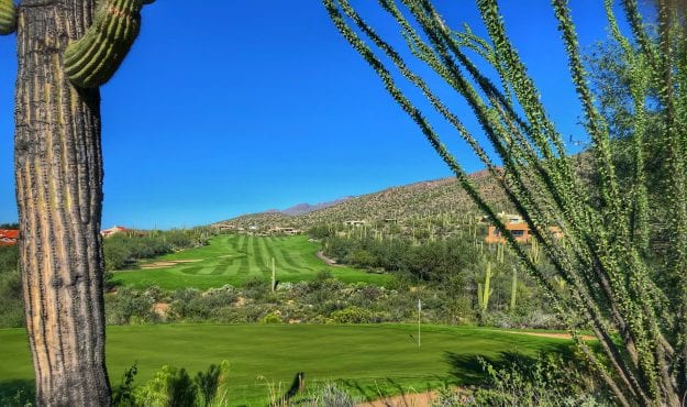 Arizona National #11 green