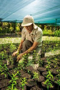 Reserva Conchal Golf Club Staff Planting