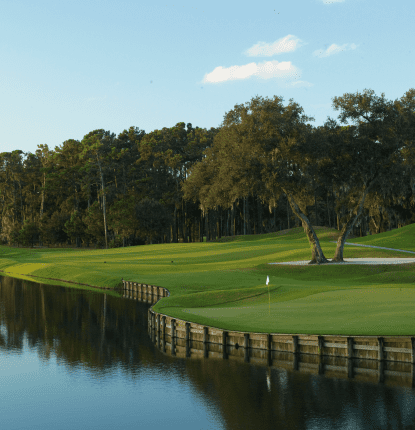 TPC Sawgrass #16 Green